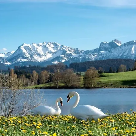 Wiesenweg Appartamento *
