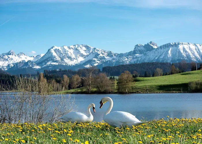 Wiesenweg - Aktiv Mit Der Koenigscard Im Allgaeu *